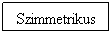 Folyamatbra: Feldolgozs: Szimmetrikus
