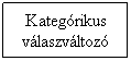 Folyamatbra: Feldolgozs: Kategrikus vlaszvltoz
